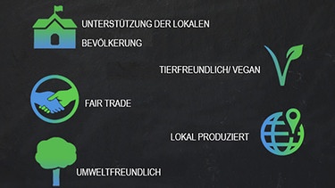 Die Labels der Project Cece Website. | Bild: BR