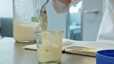 Der neue Lupinen-Joghurt aus weißen Süßlupinen - Verkostung | Bild: BR