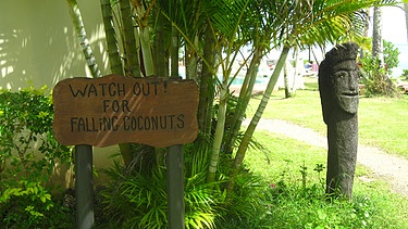 Ein Schild warnt vor herabfallenden Kokosnüssen.  | Bild: Marion Sandner