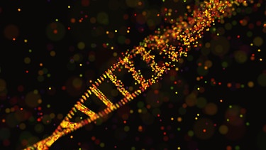 Symbolbild mit DNA-Struktur für Gene in Raum und Zeit kombiniert mit der Idee künstlicher Zellenals Ersatz für lebende Organismen  | Bild: colourbox.com