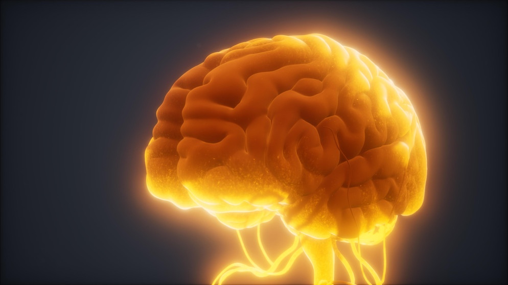 Menschliches Gehirn gelb-gold leuchtend als Symbolbild für den Vortrag "Gehirne aus Hautzellen" | Bild: picture alliance / Zoonar | Stanislav Rishnyak