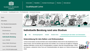 Screenshot zur individeuellen Beratung im Projekt "TU4U - SelfE" der TU Chemnitz | Bild: TU Chemnitz (Projektgruppe TU4U - SelfE)