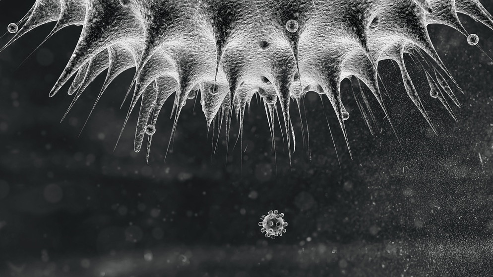 Virus unter dem Mikroskop
| Bild: picture alliance / Shotshop | Addictive Stock