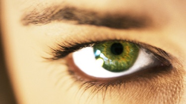 Auge | Bild: colourbox.com