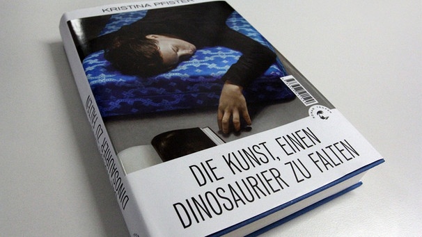 Buchtipp: Die Kunst, einen Dinosaurier zu falten von Kristina Pfister | Bild: BR-Studio Franken/Rainer Aul