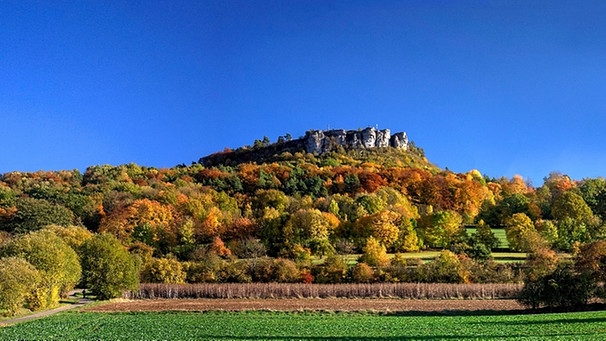 Herbstliches Laub am Staffelberg | Bild: Tourismusregion Obermain-Jura / Berti Steiner