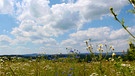 Sommer im Frankenwald - Blick zum Döbraberg vom Hohenstein | Bild: Lothar Schmidt, Neudorf-Schauenstein, 30.06.2023