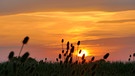 Sonnenuntergang bei Großgeschaidt - Gute Nacht Franken! | Bild: Helmut Polster, Lauf a. d. Pegnitz, 22.08.2023