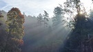 Was für eine magische Stimmung am Morgen im Klumpertal. Sonne, Nebel und endlich wird's bunt. | Bild: Monique Potzler, Pottenstein, 13.10.2023