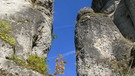 Spaziergang in der Fränkischen Schweiz - bei herrlichem Sonnenschein, blauem Himmel und buntem Laub. | Bild: Ragnhild Rummel, Erlangen, 16.10.2023
