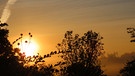 Der Sonnenaufgang über Sachsen verheißt einen schönen Oktobertag. | Bild: Sigrid Pfänder, Sachsen b. A., 23.10.2023