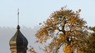 Birnbaum im Goldrausch neben der Dorfkirche in Gündersbach. | Bild: Monika Riedel, Pleinfeld, 30.10.2023