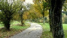 Bunte Herbstallee am Golfplatz in Tröstau. | Bild: Günter Lorke, Tröstau, 31.10.2023