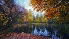 Herbststimmung am Teich | Bild: Christian Herold, Weismain, 04.11.2023