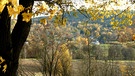 Herbstlicher Durchblick bei Wunsiedel. | Bild: Günter Lorke, Tröstau, 08.11.2023