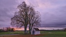 Kurz ließ die Morgensonne den Horizont hinter Poppenkapelle bei Auerbach leuchten, bevor sie wieder hinter den Wolken verschwand. | Bild: Sabine Friede, Krottensee, 08.11.2023