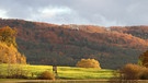 Schöne Herbstlandschaft zwischen Oberhaidelbach und Weißenbrunn. | Bild: Marie Klemenz, Oberhaidelbach, 13.11.2023
