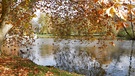 Herbstlicher See im Schlosspark Werneck. | Bild: Bettina Full, Egenhausen, 13.11.2023