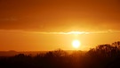 Die Sonne hat am Morgen bei Egenhausen alles in warmes orange getaucht. So kann der Tag beginnen! | Bild: Bettina Full, Egenhausen, 24.11.2023