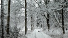 Spazieren durch einen zauberhaften Winterwald bei Tröstau - wunderbar! | Bild: Günter Lorke, Tröstau, 30.11.2023
