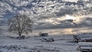 Winterlandschaft mittags bei Burgthann, als die Sonne immer wieder durchkam - und der Fotograf genau beobachtet wurde. | Bild: Herbert Bauer, Feucht, 30.11.2023