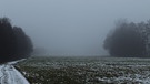 Auch keine Sonne. Nebel im Werntal bei Oberwerrn. | Bild: Jürgen Mauder, Oberwerrn, 10.12.2023
