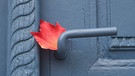 In Forchheim hat sich sich das rote Herbstblatt auf die Türklinke nieder gelegt, was kontrastmäßig mit der blauen Tür und der dem Türgriff schön harmoniert. | Bild: Wilfried Wagner, Erlangen, 15.12.2023