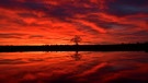 Nach einem traumhaften Sonnenuntergang verfärbte sich der Himmel in schönen Farben, die sich im Main-Donau Kanal bei Erlangen mit einem Baum spiegelt. | Bild: Wilfried Wagner, Erlangen, 28.12.2023
