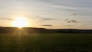 Schwanenwiese zwischen Trommetsheim und Alesheim, die unzähligen Schwäne genießen die letzten Sonnenstrahlen des Tages. | Bild: Ursula Knoll, Trommetsheim, 31.12.2023