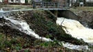 Es wird gefährlich. Das Wasser läuft schon über den Damm am Schlosspark Leupoldsdorf. | Bild: Günter Lorke, Tröstau, 04.01.2024