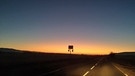 Gummistiefel im Sonnenaufgang am Ortsschild von Meilschnitz. Wir stehen hinter unseren Landwirten. | Bild: Susanne Löffler, Neustadt bei Coburg, 11.01.2024