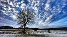 Ein Baum mitten in der Winterlandschaft. Die Wolken ziehen schnell und der Baum berührt sie scheinbar - aufgenommen bei Möhrendorf. | Bild: Björn Hutzler, Möhrendorf, 17.01.2024