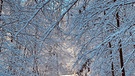 Winterwonderland im Gramschatzer Wald. | Bild: Grit Bott, Würzburg, 20.01.2024