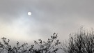 Bei -4,5°C erscheint sogar die Sonne als eisiger Ball am Himmel. | Bild: Sigrid Pfänder, Sachsen b. Ansbach, 20.01.2024
