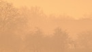 Morgendlicher Nebel beim Sonnenaufgang. | Bild: Jürgen Mauder, Oberwerrn, 31.01.2024
