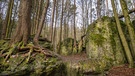 Baumwurzeln auf einen Felsen. Druidenhain bei Wohlmannsgesees. | Bild: Robert Schumann, Uffenheim, 02.02.2024
