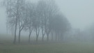 Geheimnisvoller Nebelmorgen beim Spaziergang in Tröstau. | Bild: Günter Lorke, Tröstau, 12.02.2024