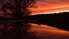 Eine Wasserpfützen diente für eine schöne Spiegelung kurz nach Sonnenuntergang, die gleichzeitig durch den Baum für eine mystische Stimmung sorgte. | Bild: Wilfried Wagner, Erlangen, 28.02.2024