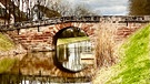 Der "alte Kanal" bei Wendelstein. | Bild: Kerstin Mahr, Wassermungenau, 17.03.2024
