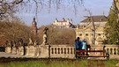 Die ersten Besucher sind schon im Hofgarten der Residenz in Würzburg unterwegs. | Bild: Klaus Gößmann-Schmitt, Würzburg, 17.03.2024