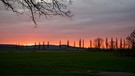 Sonnenuntergang bei Trommetsheim, die Pappeln stehen auf der Ortsverbindungsstrasse Richtung Markt Berolzheim, im Hintergrund ist der Hahnenkamm. | Bild: Ursula Knoll, Trommetsheim, 24.03.2024