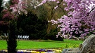 Frühling im Botanischen Garten Hof. | Bild: Liane Mohringer, Hof, 04.04.2024
