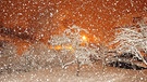 Nächtliches Schneetreiben in Fichtelberg , aufgenommen vor meiner  Haustür.  | Bild: Willi Hornung, Fichtelberg, 18.01.2018