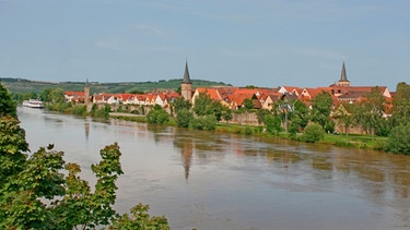 Ansicht von Karlstadt | Bild: picture-alliance/dpa