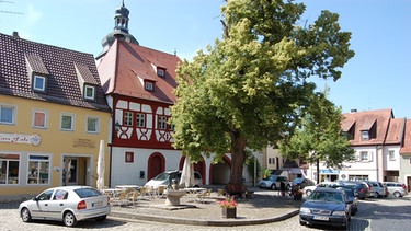 Ortsansicht von Markt Einersheim | Bild: BR-Mainfranken/Norbert Steiche