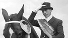 Der neue deutsche Meister im Dressurreiten, Josef Neckermann, posiert auf seinem Pferd am 15.09.1962 in Köln. | Bild: picture-alliance/dpa