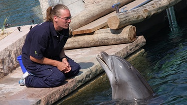 Tierpfleger trainiert mit einem Delfin | Bild: BR-Studio Franken/Vera Held