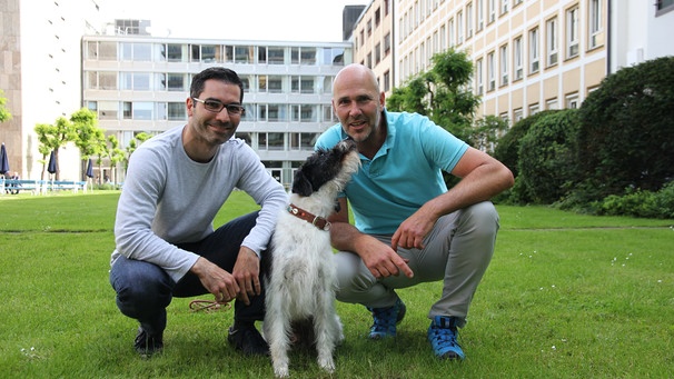 Filmhund Fredy zu Besuch bei Bayern 1 | Bild: BR