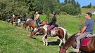 Gruppe von Pferdereiterinnen | Bild: BR Fernsehen