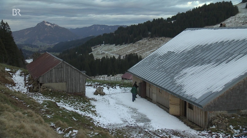 Winteralpe - Rappengschwend im Gunzesrieder Tal | Bild: Bayerisches Fernsehen